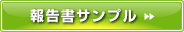 報告書サンプル